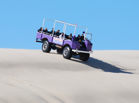 Oregon Dunes Big Buggy Sand Dunes Tours